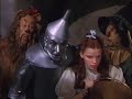 the wizard of oz