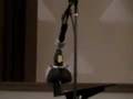 videos de little drummer duck