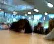 videos de @ school 5