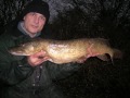 The rivers are in flood so I turn to pike fishing on a gravel pit