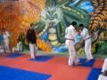 Hapkido Itapetininga Exame de Faixa Julho 2009