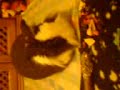 fluffee-eatin-fruit-salad.html