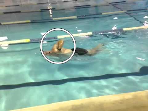 Sharking In The Combat Swimmer Stroke