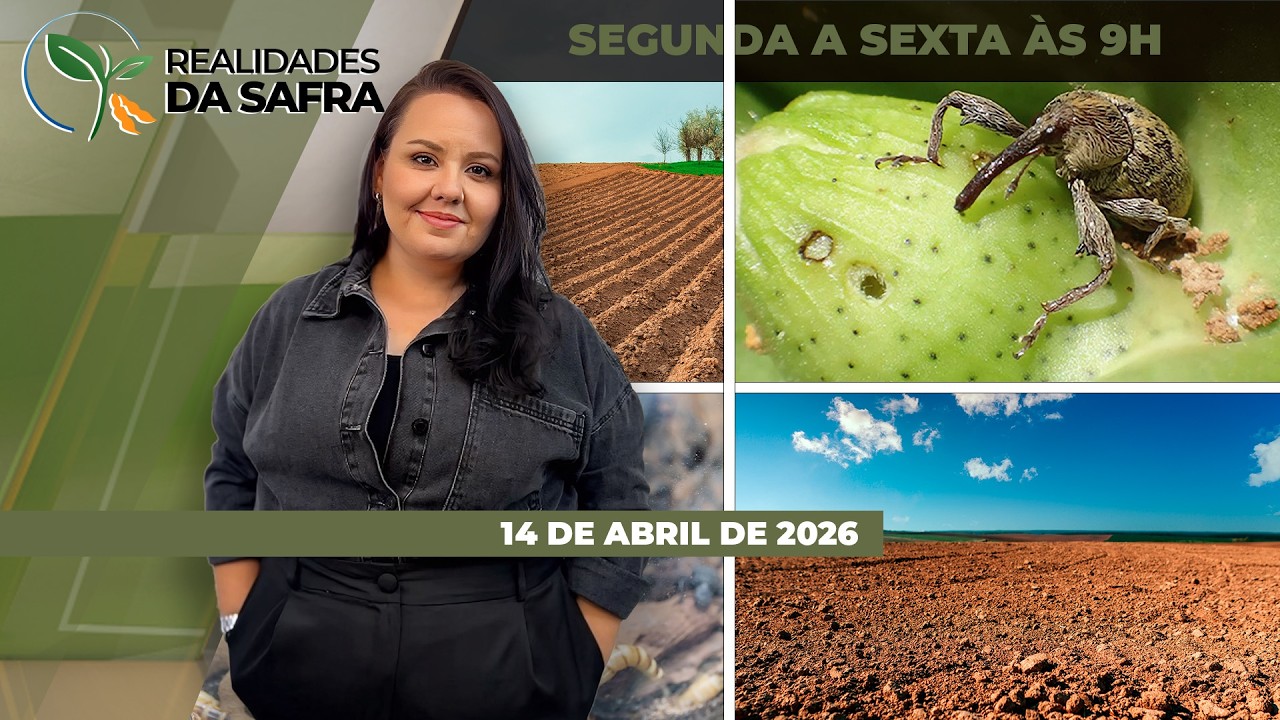REALIDADES DA SAFRA - EDIÇÃO 14/04/2026