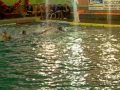 Askartza E.H.U - Turia Primera division waterpolo Askartza E.H.U - Turia Primera division waterpolo
