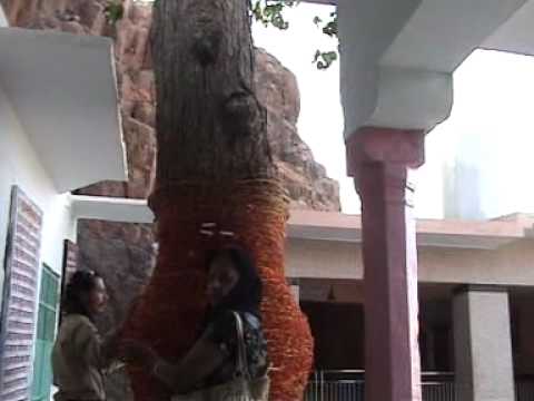 Jodhpur video