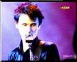 muse-love