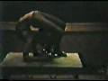 videos de old contortionist  routine
