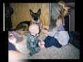 BSL: A Responsible Owner\