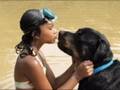 BSL: A Responsible Owner's Nightmare