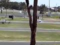 R33 parklands