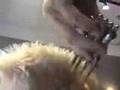 How to cut short hair freehand