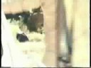 Return of Christian the Lion Return of Christian the Lion