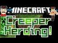 Minecraft OCELOTS CREEPER HERDING ! Sheep Cats Herd Creepers !