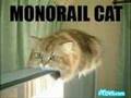 Funny Pet Pictures