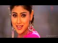Tumhara Tumhara Sanam • Shukriya (2004) • Hindi Video Music • HD