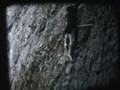 Ernesto Navarro: primera escalada (Normal al Cored - Riglos)