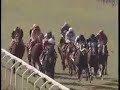 Corse Cavalli, Grandi Vittorie Scuderia A.Candi