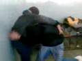 videos de PINTO EL DESCONTROL