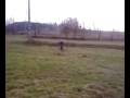 dropp barembach arnaud seul1