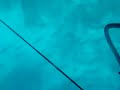 spearfishing in oman