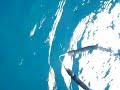 spearfishing in oman