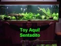 # 2 # Montaje Del Acuario 720 Litros