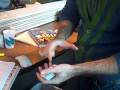 videos de WUC120108_joshuajay.wmv