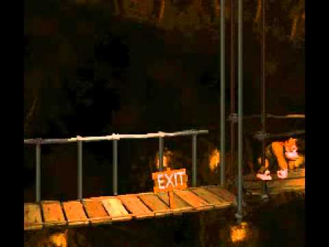 Donkey Kong Country