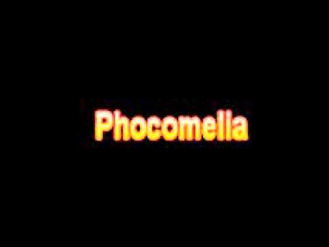 phocomelia - Visit our website for text version of this Definition and app download. http://www.medicaldictionaryapps.com Subjects: medical terminology, medical dictionar...