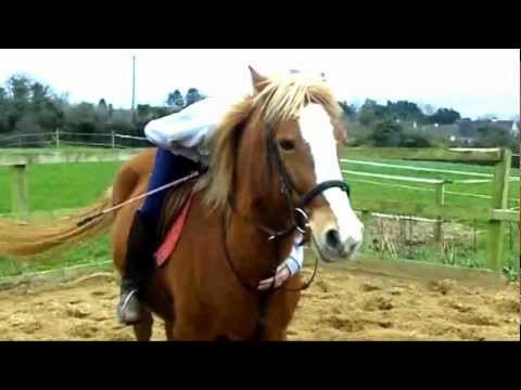 how to prove everybody wrong