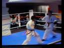 Championship Kyokushinkai Karate 2008 Championship Kyokushinkai Karate 2008