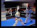 Championship Kyokushinkai Karate 2008