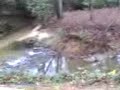 Soque Trails 2