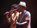Mraz & Bushwalla - Personal Ads @ Paradiso