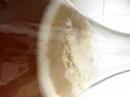 Bier