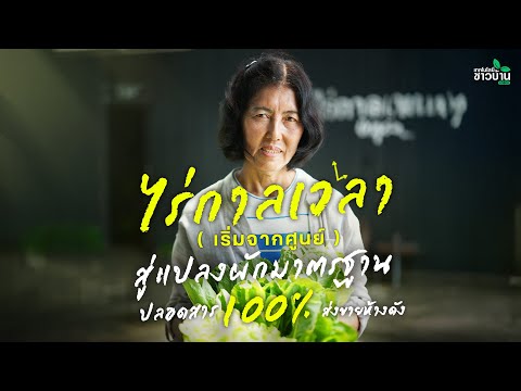 ไร่กาลเวลา เริ่มจากศูนย์สู่แปลงผักมาตรฐานปลอดสาร 100% ส่งขายห้างดัง