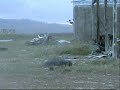 Paintball Movie Part III