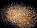 nagaoka hanabi 1
