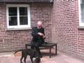 videos de I'm forever blowing bubbles