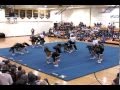 Bloomington Jefferson JV Competition Cheer - Bus Trip