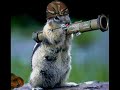 Shiftwork - Kenny Chesney - Chipmunk version