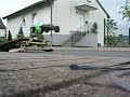 Lynx auf Stra�e