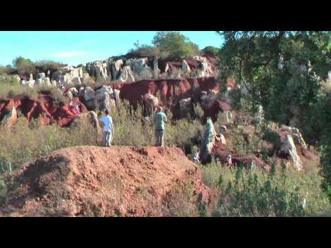 amis-t-icos