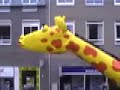 carnaval 2007