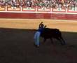 concurso de recortes ejea de los caballeros (za) 2007