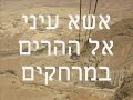 שי גבסו