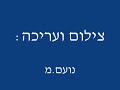 שי גבסו