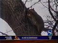 KCCI Happy Trails Clive Greenbelt Trail