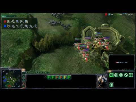Sc2+painuser